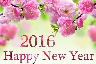 Happy New Year Wallpapers 2017 HD Download Mobile, PC