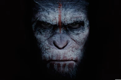 Movie Wallpapers For Iphone   Uncalke.com