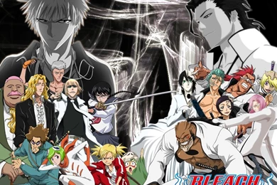 Vizard Vs Arrancar Wallpapers By Raizuto On DeviantArt