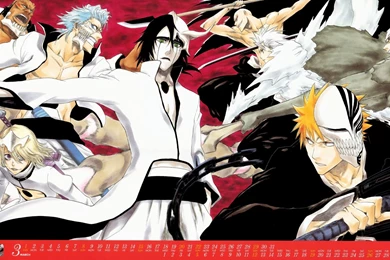 Wallpapers Gallery Online: Bleach: Arrancar   Photo Colection