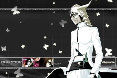 Image Base Online: Bleach: Arrancar   Wallpapers
