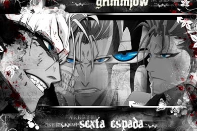 Grimmjow ♥   Grimmjow Jeagerjaques Wallpapers (25526233)   Fanpop