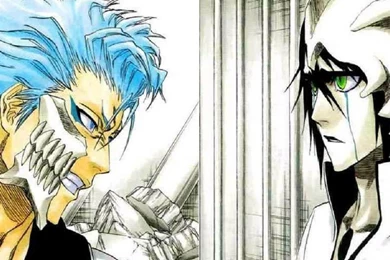 GRIMMJOW ULQUIORRA WALLPAPER   (