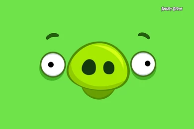 20589) Angry Birds Birthday Android Wallpapers Attachment WalOps.com