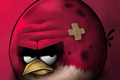 Todo Sobre Angry Birds   Taringa!