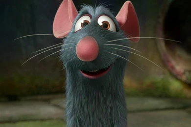 Ratatouille