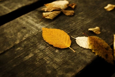 Full Hd Wall   HD Wallpapers Lovely