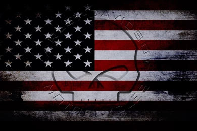 Download In Progress   Hebus.com