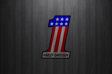 Harley davidson skull wallpaper pic.jpg 1,024×768 Pixels