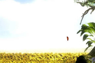 Download Animated Wallpapers For Iphone