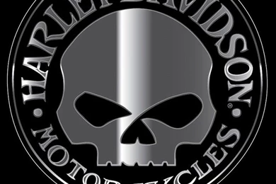 Harley Davidson Willie G Skull Chrome Emblemz Decal