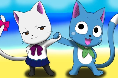 Fairy Tail Happy Wallpapers Desktop