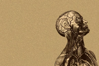 Hand Picked Medical Wallpapers (SFW)