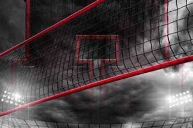 SturDaVinci Art Tools True Grit Volleyball Backgrounds