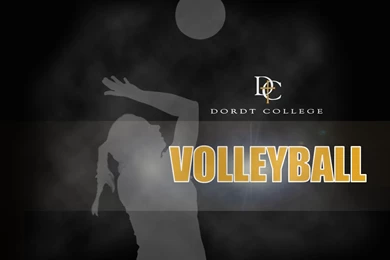 Wallpapers Volley Ball Girls Free Volleyball And Backgrounds ...