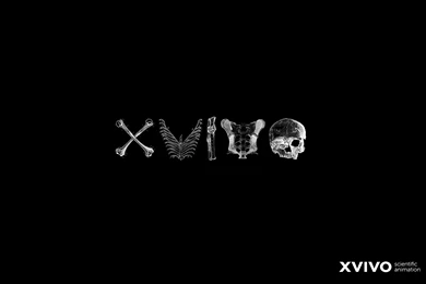 Beautiful Free Medical Illustration Computer Wallpaper.