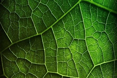 Galaxy Phone Wallpapers On Pinterest