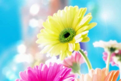 Most Beautiful Wallpapers   Desktop Backgrounds