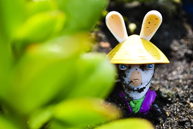 Bunnies Green Yellow Purple Harakiri Raving Rabbids Wallpapers ...