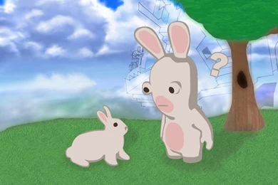 RABBIDS WALLPAPER   (