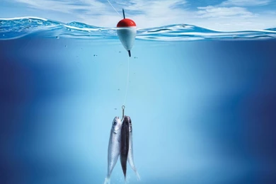 Fishing Wallpapers Pics Attachment 17452   Amazing Wallpaperz