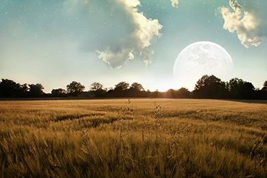 Theme Bin» Blog Archive » Cloudy Day HD Wallpapers