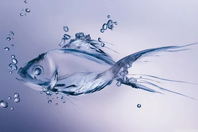 Ice Fishing Wallpapers Desktop Images