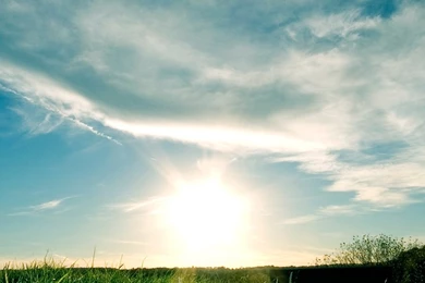 Sunny Day, Summer HD Desktop Wallpapers : Mobile