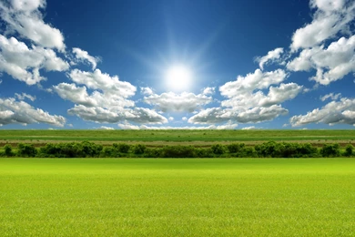 Sunny Bright Day Wallpaper 0.jpg