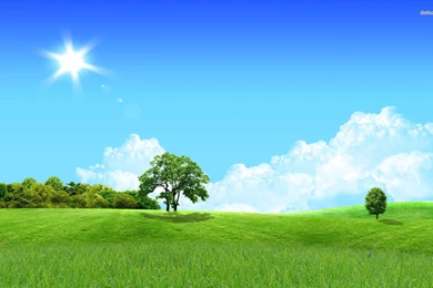 Summer Day Wallpapers   Digital Art Wallpapers