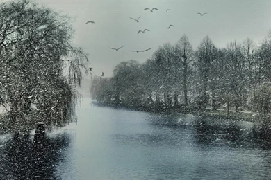 Wintertime In Amsterdam Wallpapers For Desktop, Laptop And Tablet