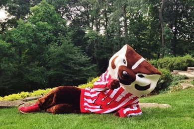 WCDT: Strips 2892 To 2896 (9th   13th February 2015)