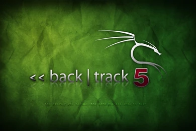 Free Wallpapers   Backtrack 5 Wallpapers
