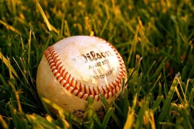 Baseball Field Wallpapers   Wallpapers Cave