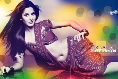 Bollywood Amisha Sexy