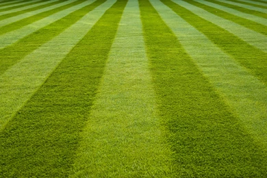 Baseball Field Grass   Wallpaper.