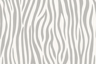 Modern Wallpapers Zebra   MurivaMuriva