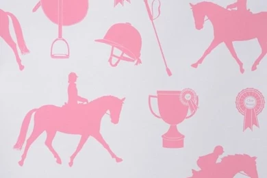 Equestrian Theme On Pinterest