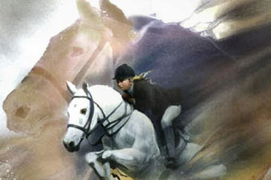 Equestrian Definition Wallpapers   Free Equestrian Definition ...