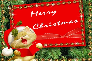 Happy Christmas Massages