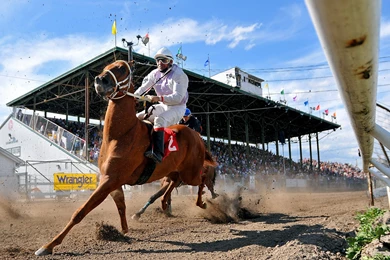 HORSE RACING Race Equestrian Sport Jockey Horses Wallpapers ...