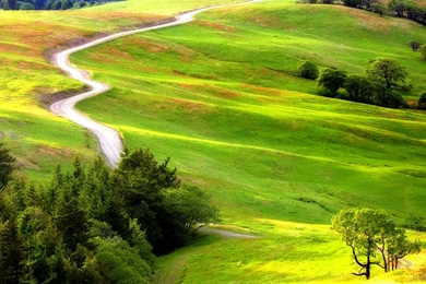 Fresh Nature Wallpapers 2 Photos Of Creating Fresh Atmosphere Using ...