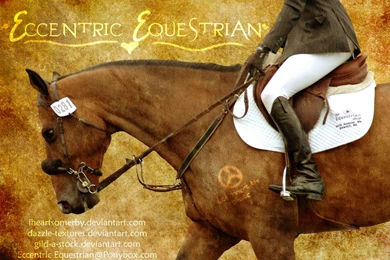 Eccentric Equestrian Horse Pic By Silver Eyed Sinner On DeviantArt