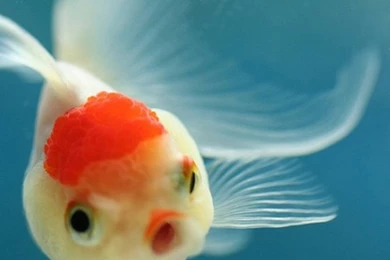 Cute Archives   Page 2 Of 15   Wallpapers For IPhone, Samsung And ...