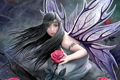 Fairy In Wild Roses Wallpapers   (