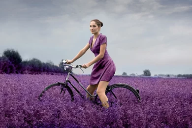 Dr_Teddy's Profile On PrimeWire