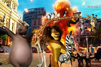 Madagascar 3 Movie Wallpapers Download