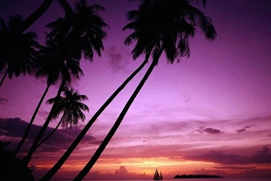 Beautiful Korea   Sunrise & Sunset Over The Sea   Wallcoo.net