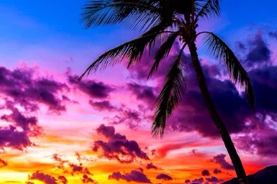 Background, Blue, Iphone, Iphone Wallpaper, Orange, Pink, Sea, Sun ...