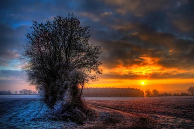Winter Sunset Wallpapers